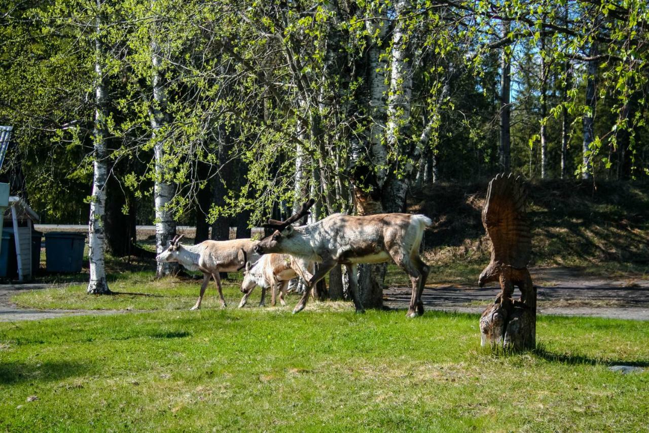 Motelli Rovaniemi Eksteriør billede